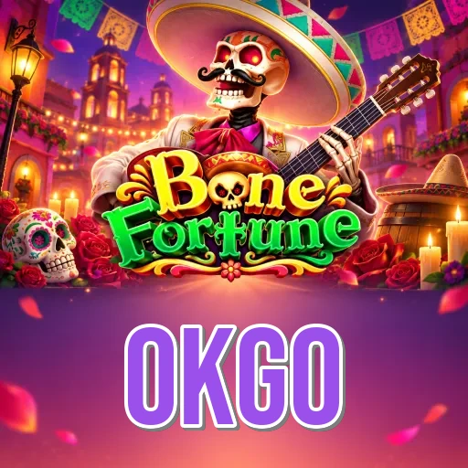 Version History okgo